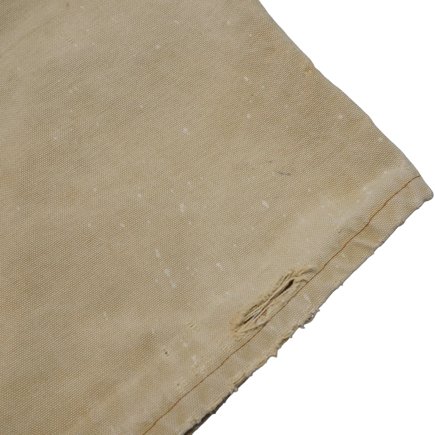 Carhartt Distressed Jean Shorts - 38