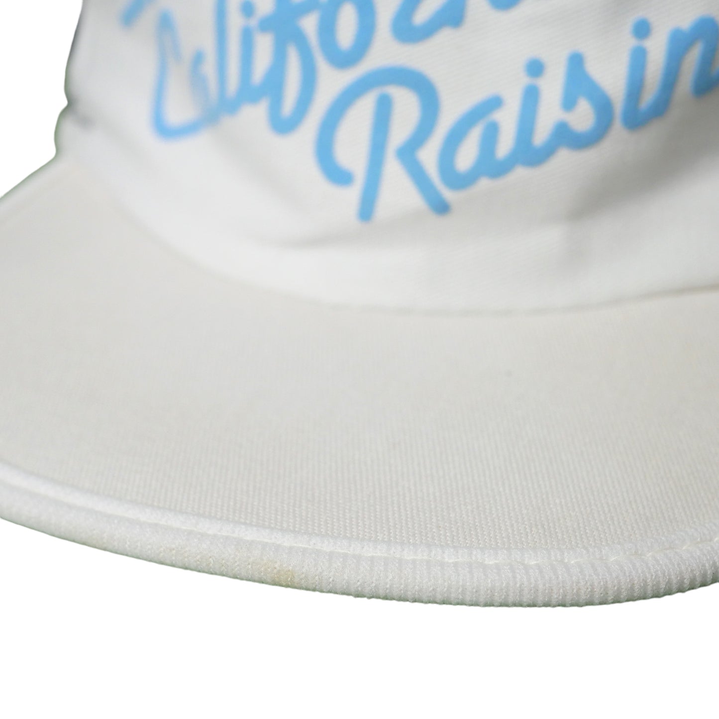 California Raisins Painters Cap