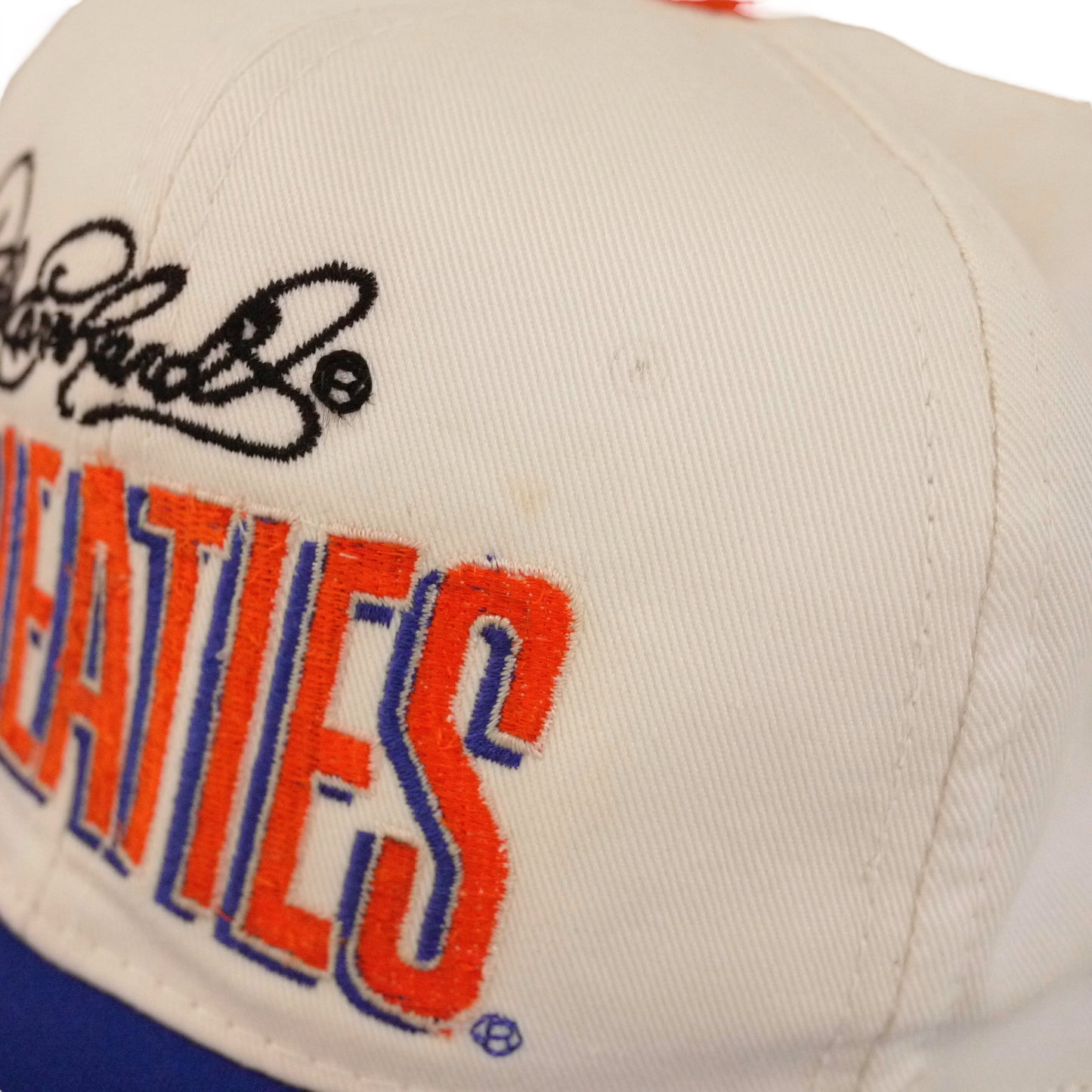 Wheaties Dale Earnhardt Vintage Snapback Hat