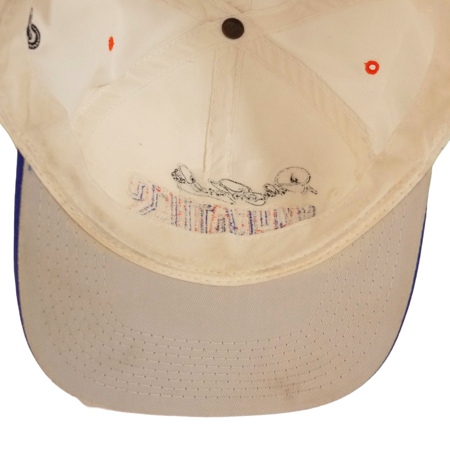 Wheaties Dale Earnhardt Vintage Snapback Hat