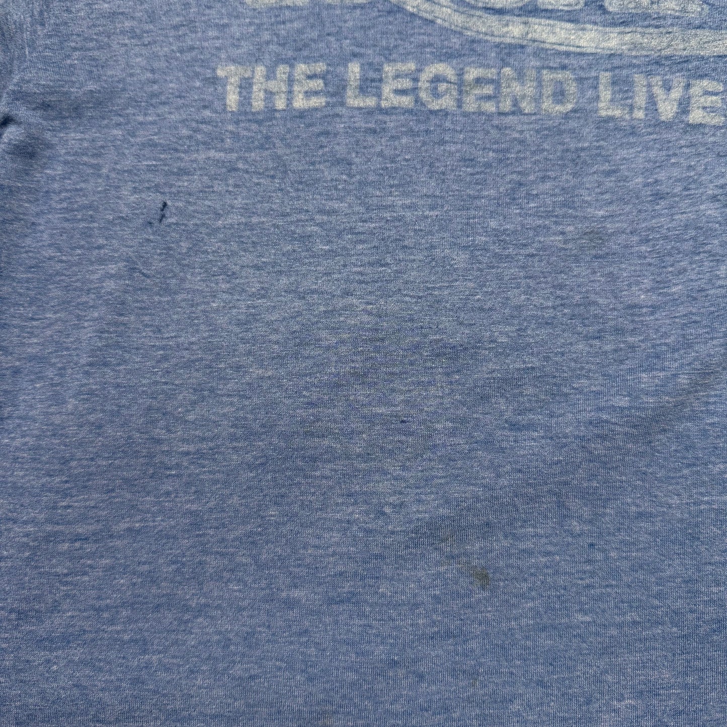 Triumph The Legend Lives On Summit, IL Shirt - Large