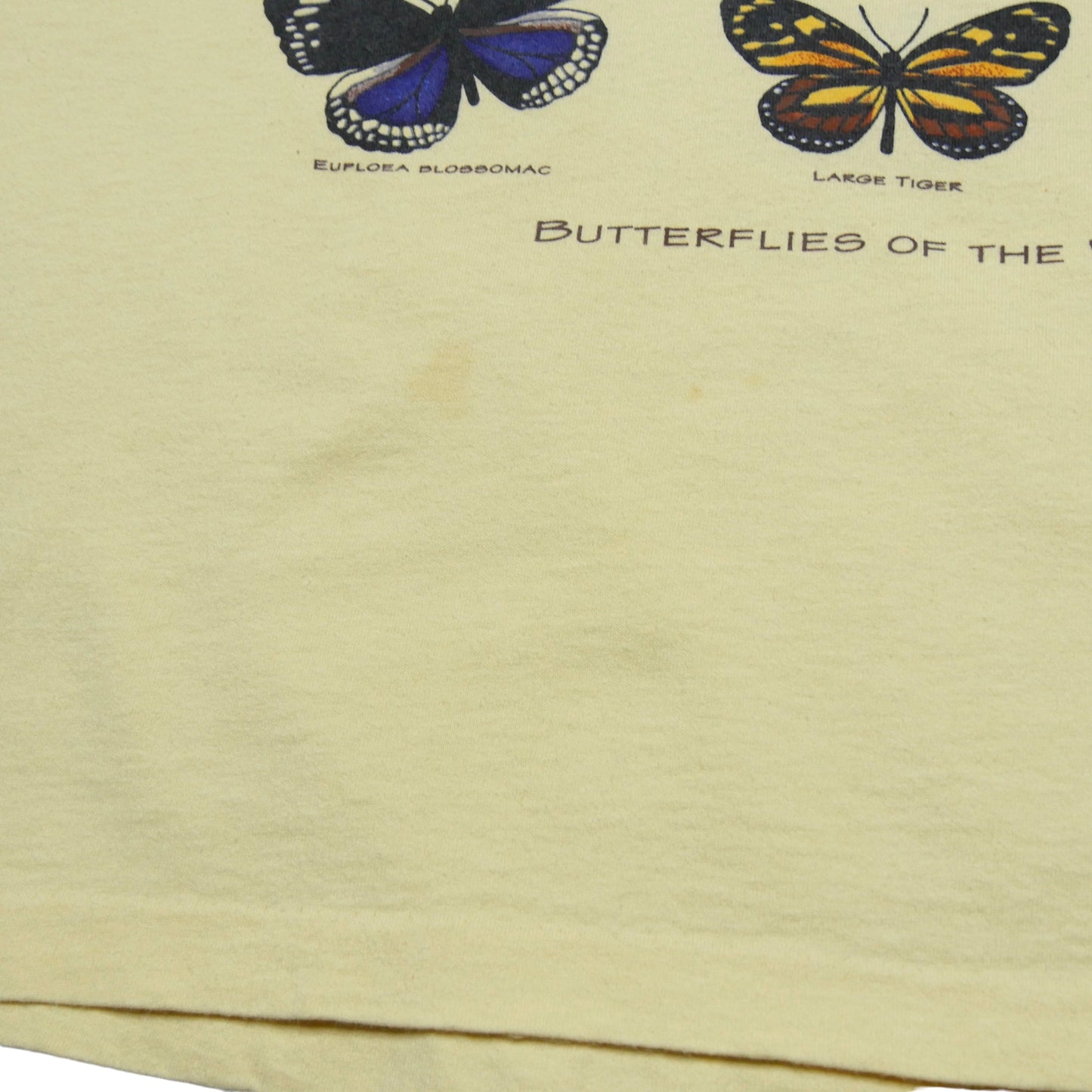 Butterflies Of The World Shirt - Large