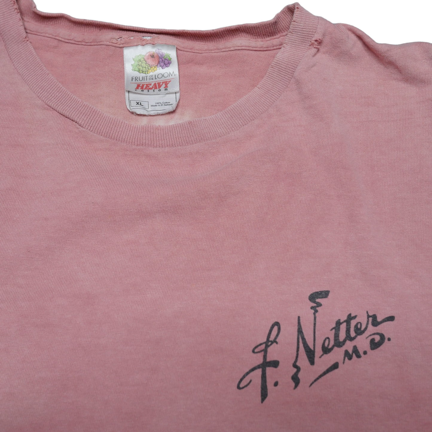 F Netter Art Anatomy Shirt - XL